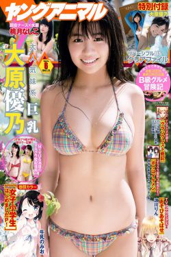 暴雨梨花